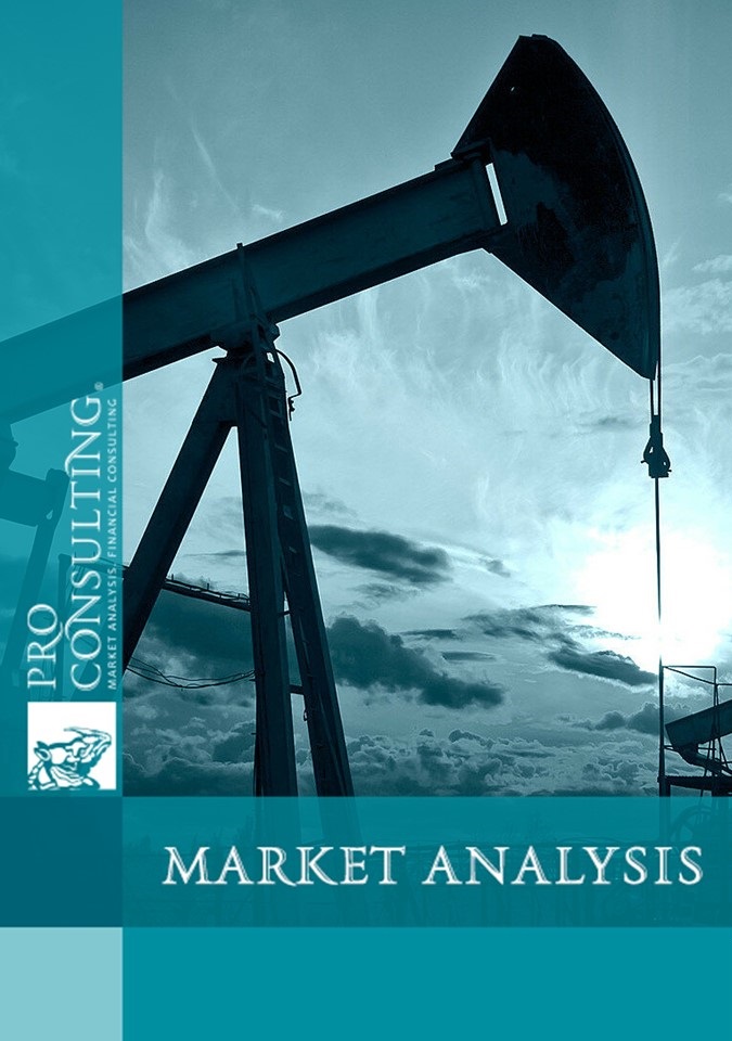 Monitoring on petroleum products market in Ukraine. 2023 year